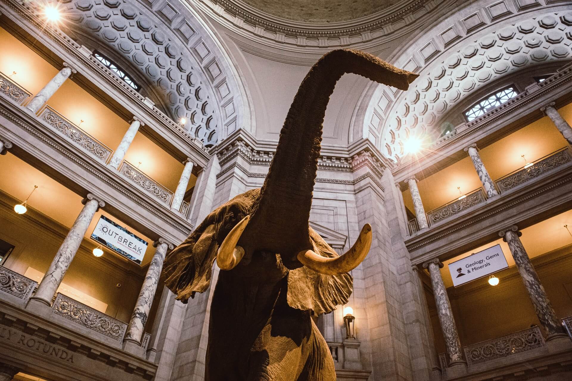 Музей естествознания в Вашингтоне